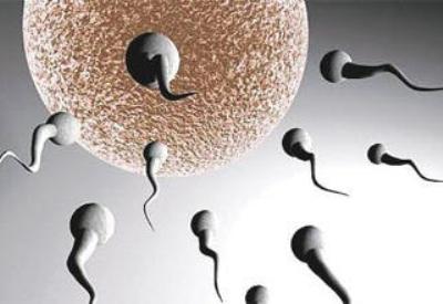 Sperm kalitesini arttıran besinler/yiyecekler